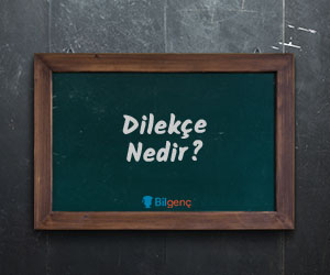 Dilekçe ve resmî yazışma örneği